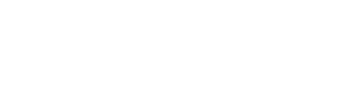 Dominet Web Services